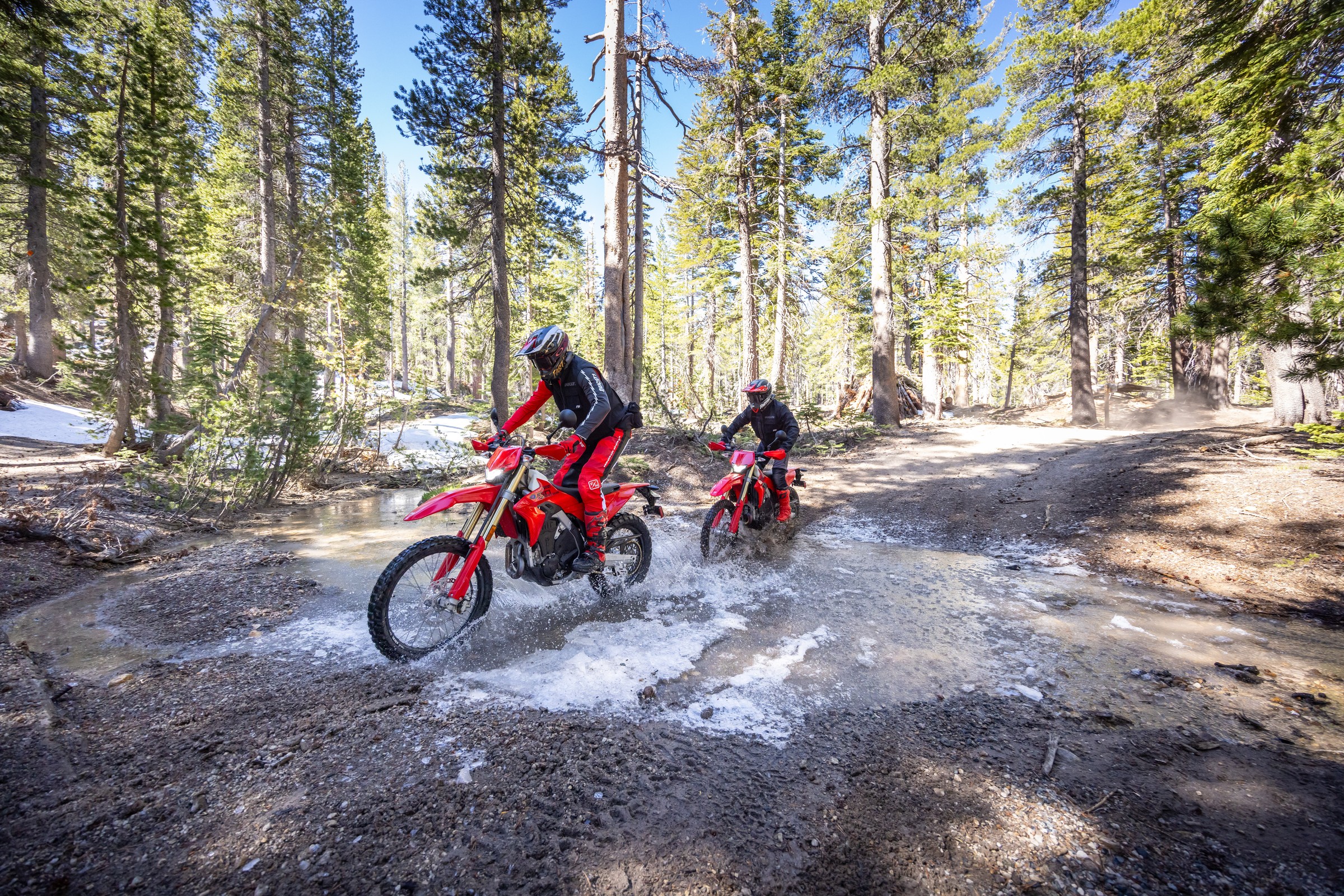 Two Desmo450 EDS bikes water-crossing on forest trail