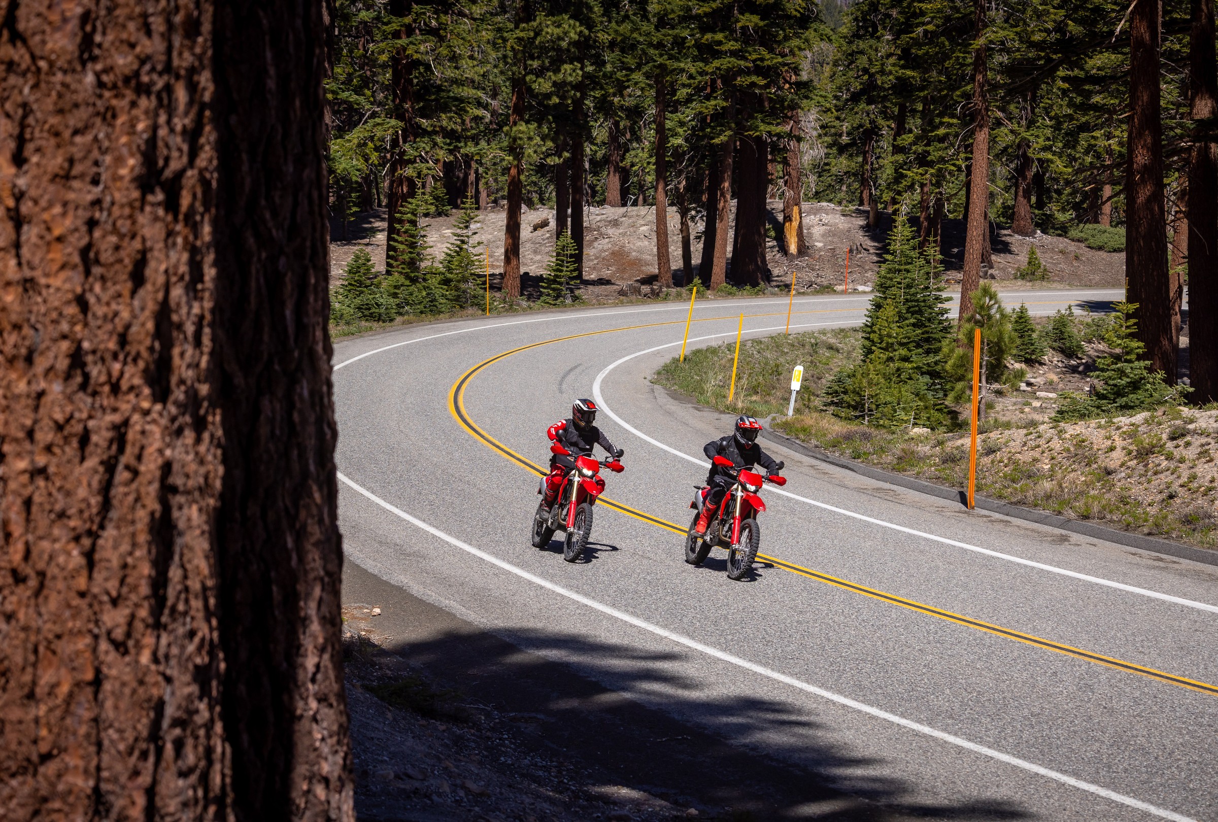 Desmo450 EDS dual-sport pair on paved mountain switchback