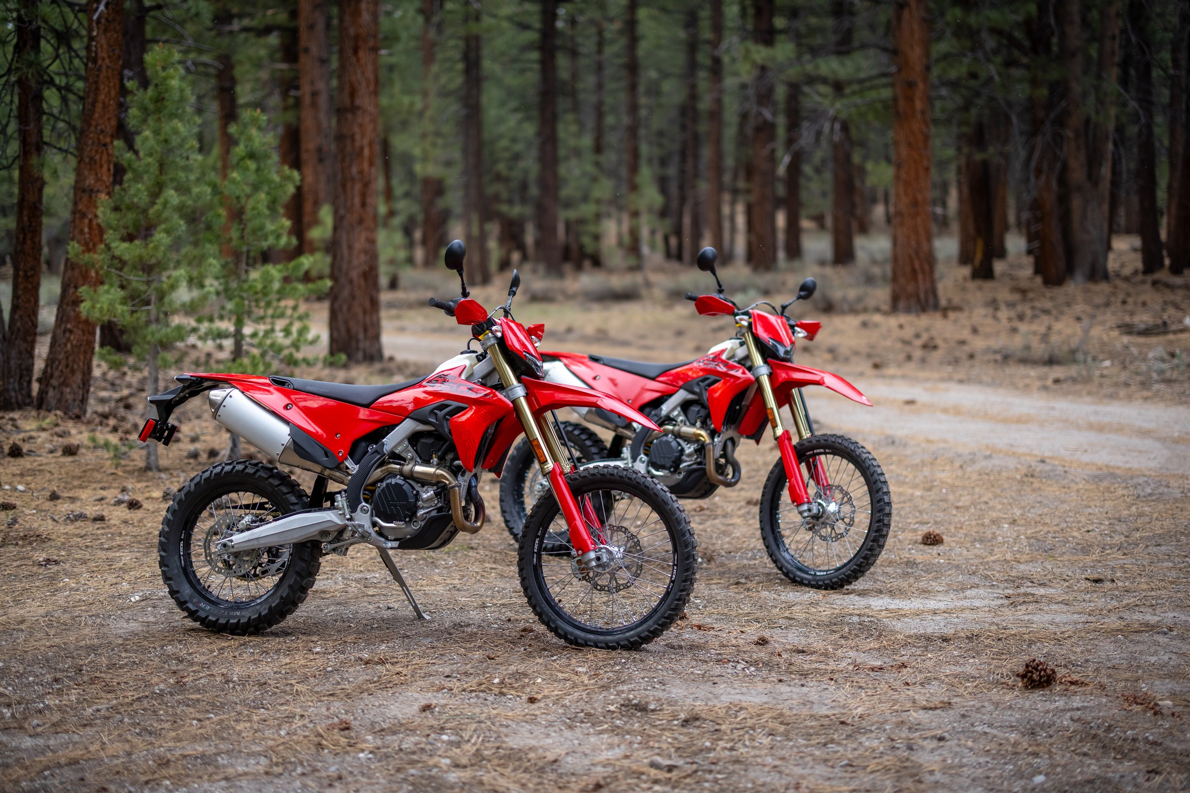 Two Desmo450 EDS bikes parked on pine-needle forest path