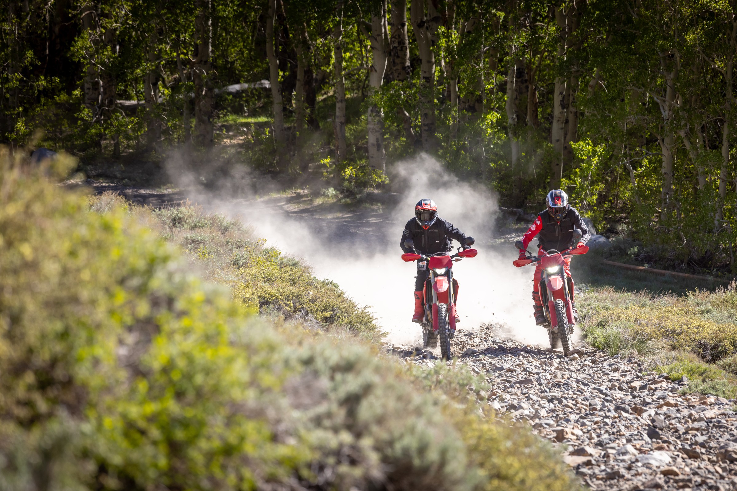 Two Desmo450 EDS riders kicking dust on rocky trail