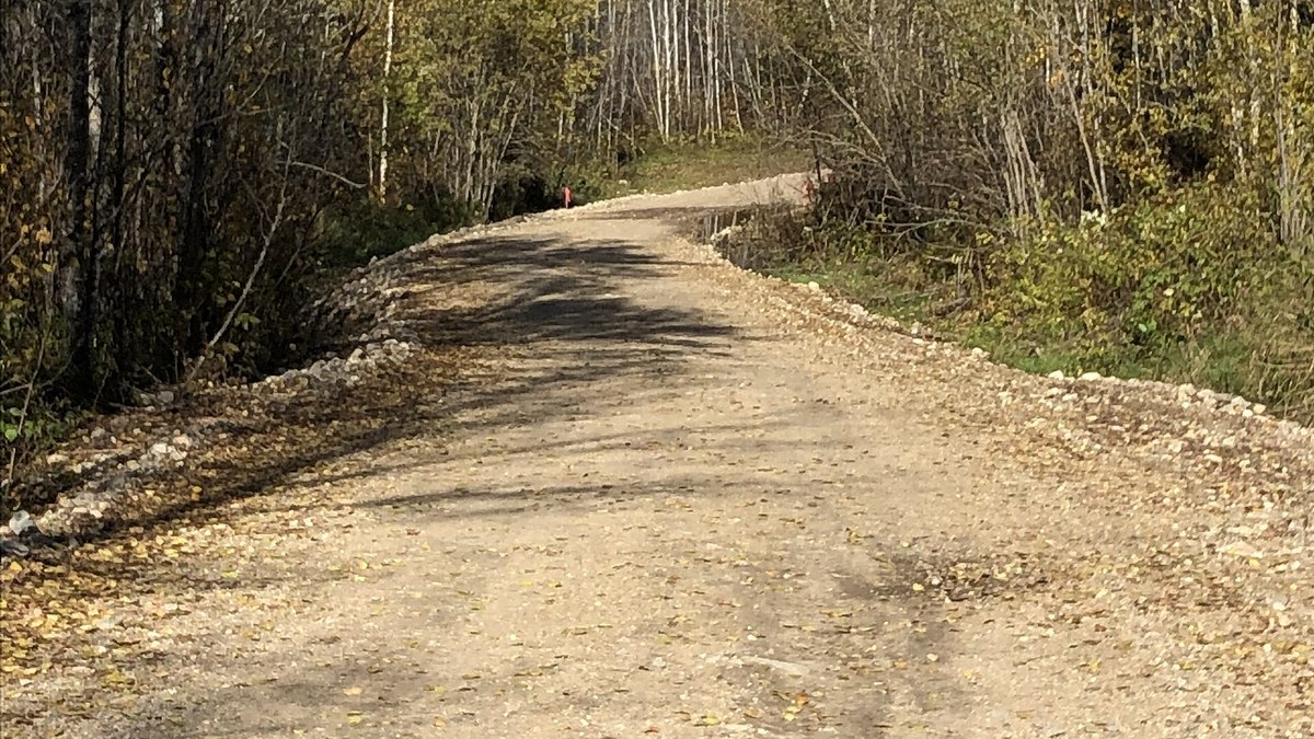 Gravel National Forest System road curving through mixed forest